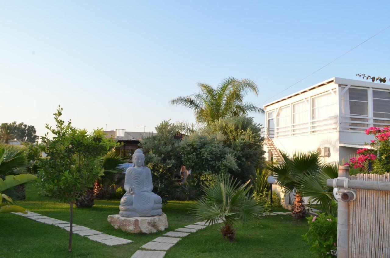 Floripa Surf House Bed & Breakfast Санта Мария дел Фокало Екстериор снимка